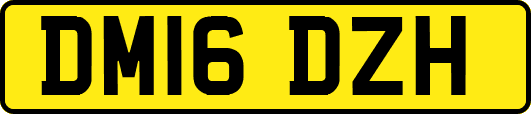 DM16DZH