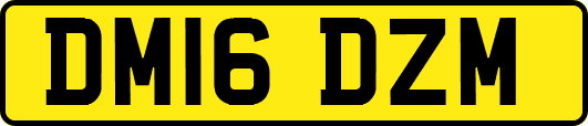 DM16DZM