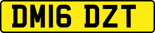DM16DZT