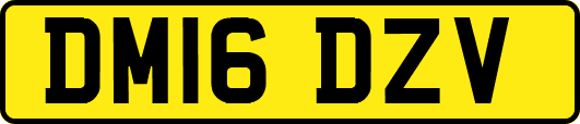 DM16DZV