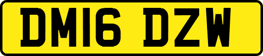 DM16DZW