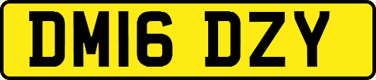 DM16DZY