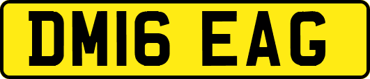 DM16EAG