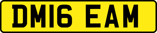 DM16EAM