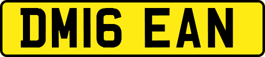 DM16EAN