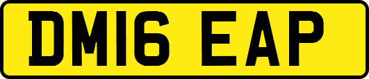 DM16EAP