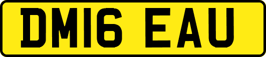 DM16EAU