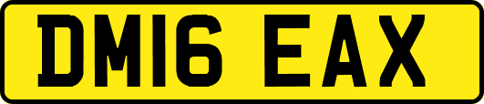 DM16EAX