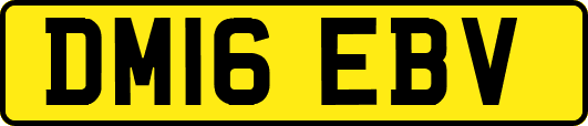 DM16EBV