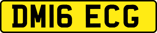 DM16ECG