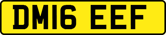 DM16EEF