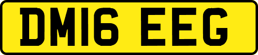 DM16EEG