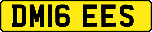 DM16EES