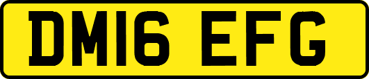 DM16EFG