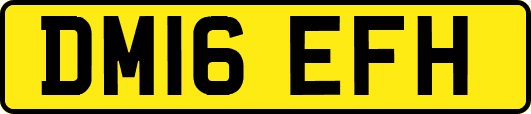 DM16EFH