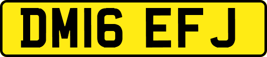 DM16EFJ