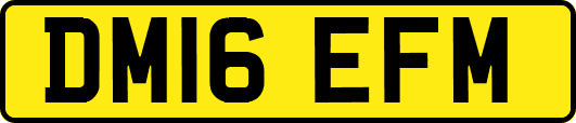 DM16EFM