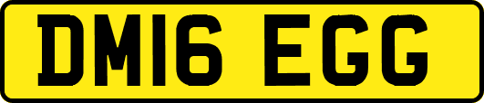 DM16EGG