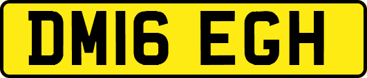 DM16EGH