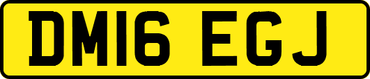 DM16EGJ