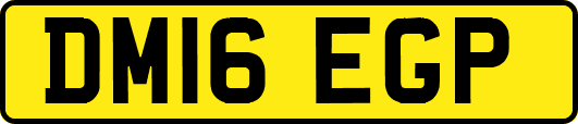 DM16EGP