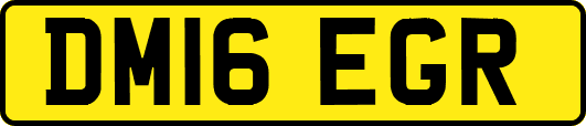 DM16EGR