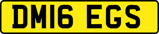 DM16EGS