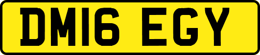 DM16EGY