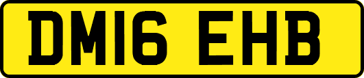 DM16EHB