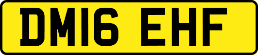 DM16EHF