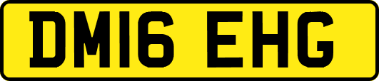 DM16EHG
