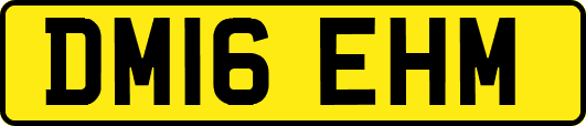 DM16EHM