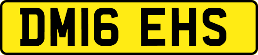 DM16EHS