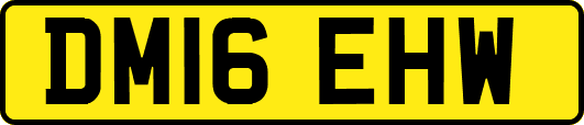 DM16EHW