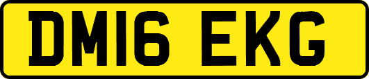 DM16EKG