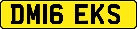 DM16EKS