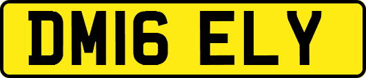 DM16ELY