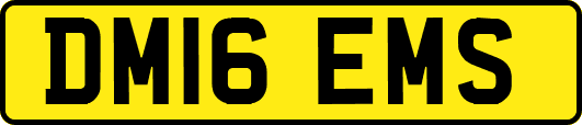 DM16EMS