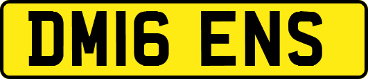 DM16ENS
