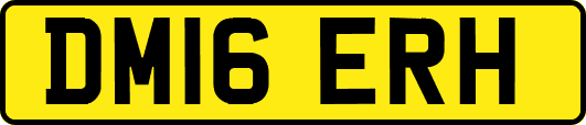 DM16ERH