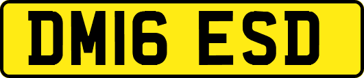 DM16ESD