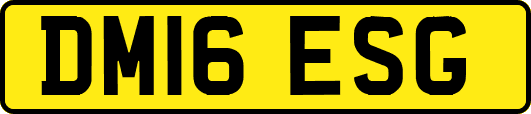 DM16ESG