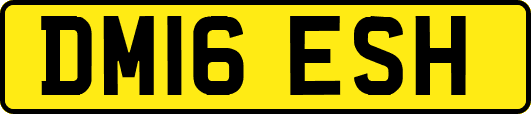 DM16ESH
