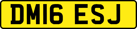 DM16ESJ
