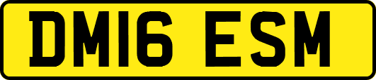 DM16ESM