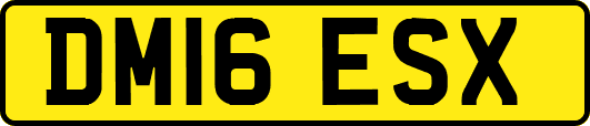 DM16ESX