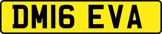 DM16EVA