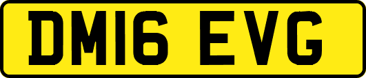 DM16EVG