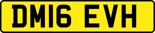 DM16EVH