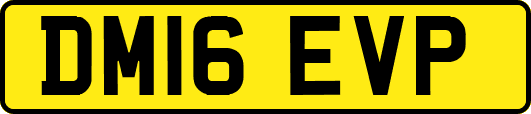 DM16EVP